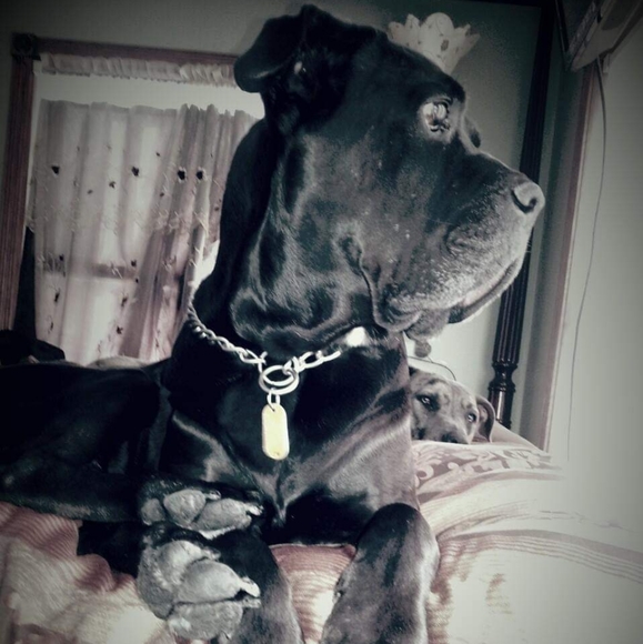 Meet your Posher, Melissa - Picture 4 of 11